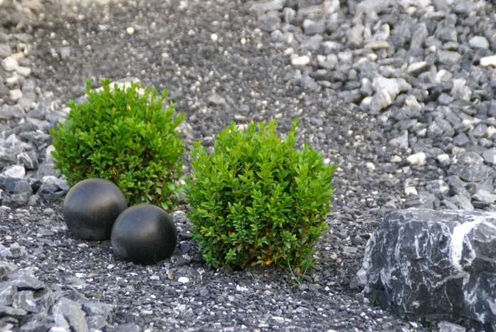 DSC04375